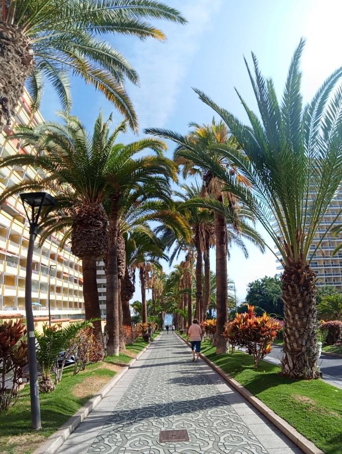 Paraiso San Telmo 푸에르토 드 라 크루즈 외부 사진